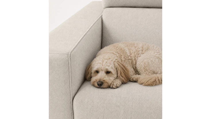 Sofá Tela Pet Friendly Índigo con arcón - Vista Producto 7