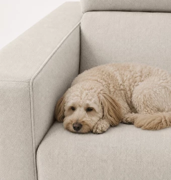 Sofá Tela Pet Friendly Índigo con arcón - Vista Producto 7