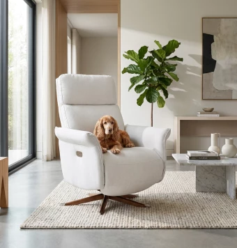 Sillón Relax Tela Pet Friendly Taycan - Vista Combinacion 7