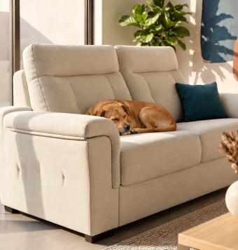 Sofá Cama Tela París Pet Friendly - Vista Producto 4